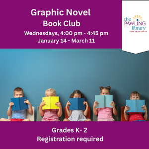 Graphic Novel Book C